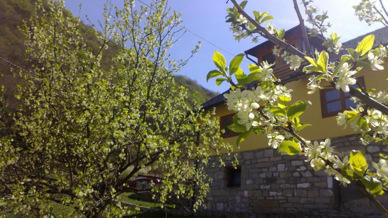 Guest House - Stari Javor B&B Prozor Eksteriør bilde